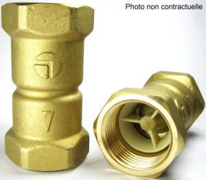 Clapet anti-retour en , avec un filtage en 1 pouce ½