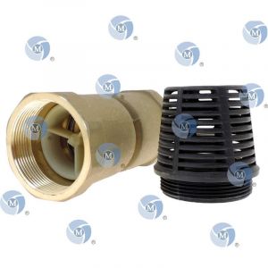 Clapet crépine en Laiton, avec un filtage en 2 pouces