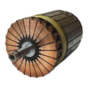 Induit compatible pour démarreur RENAULT 7700113627