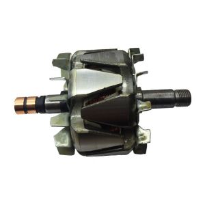 Rotor d'alternateur compatible pour BOSCH 0123335003 - Rotor d'alternateur pour alternateur BOSCH 1124034452