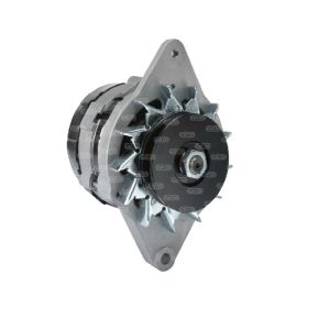 Alternateur compatible pour MOTOROLA 510300 - Alternateur pour MASSEY FERGUSON 1699872M1