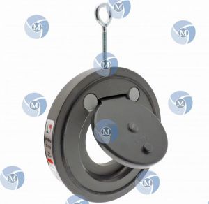 Clapet anti-retour à battant en PVC, pour diamètre de tuyauterie 160 mm