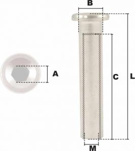 Embout taraudé tête six pans creux M6 (Inox) - Côtes et dimensions