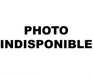 Alternateur compatible pour ISKRA MG539