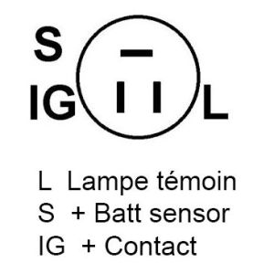 Alternateur compatible pour PIC 290206 - Schema