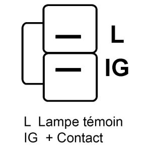 Alternateur compatible pour ERA S.P.A ITALIA 210610A - Schéma