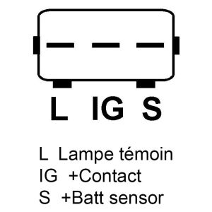 Alternateur compatible pour FARCOM 111595 - Schéma