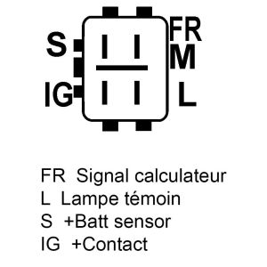 Alternateur compatible pour DENSO 1042103981 - Connecteur